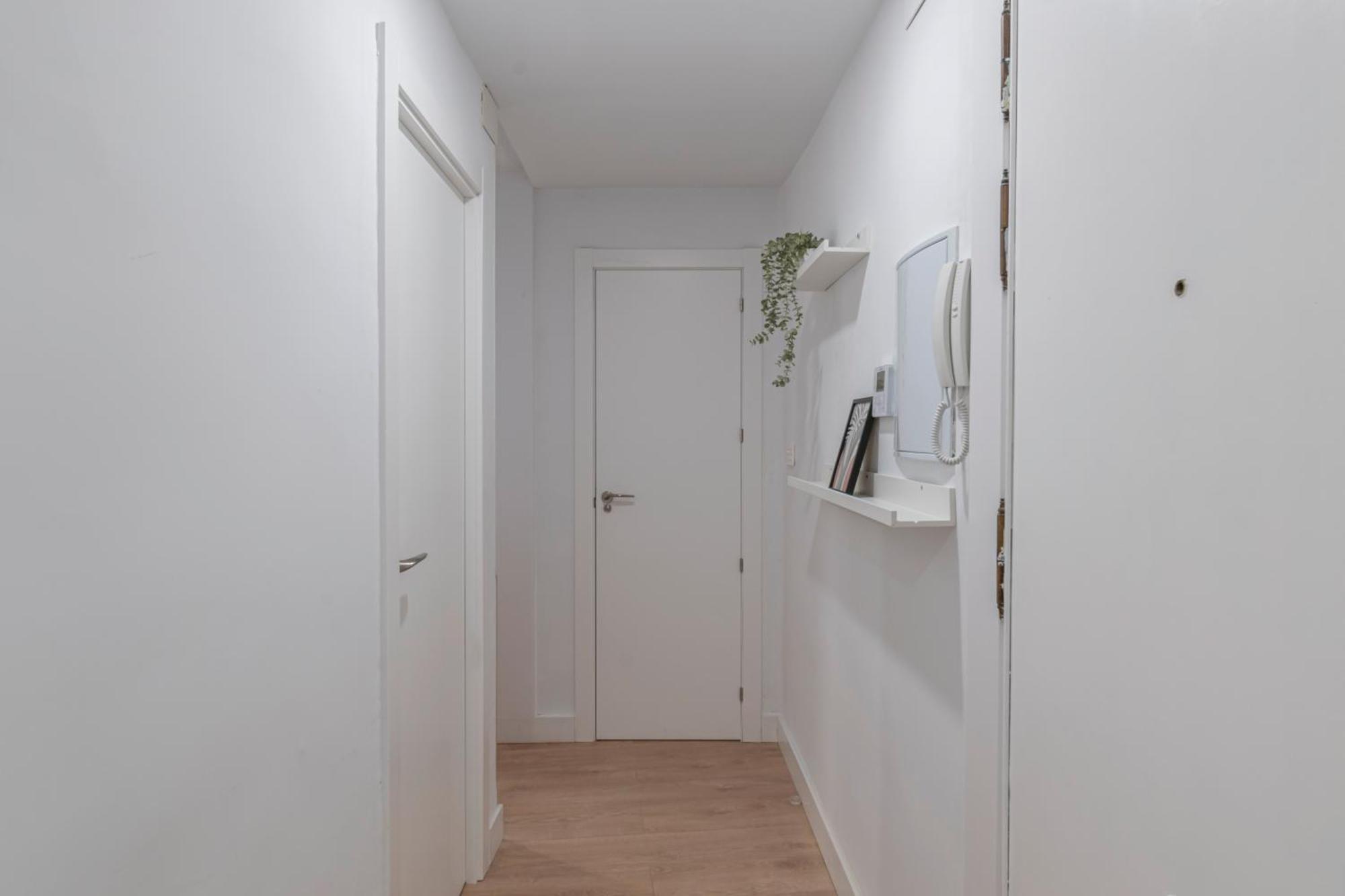 Apartamento El Olivo En Plaza Nueva